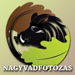 nagyvadfotozas.hu